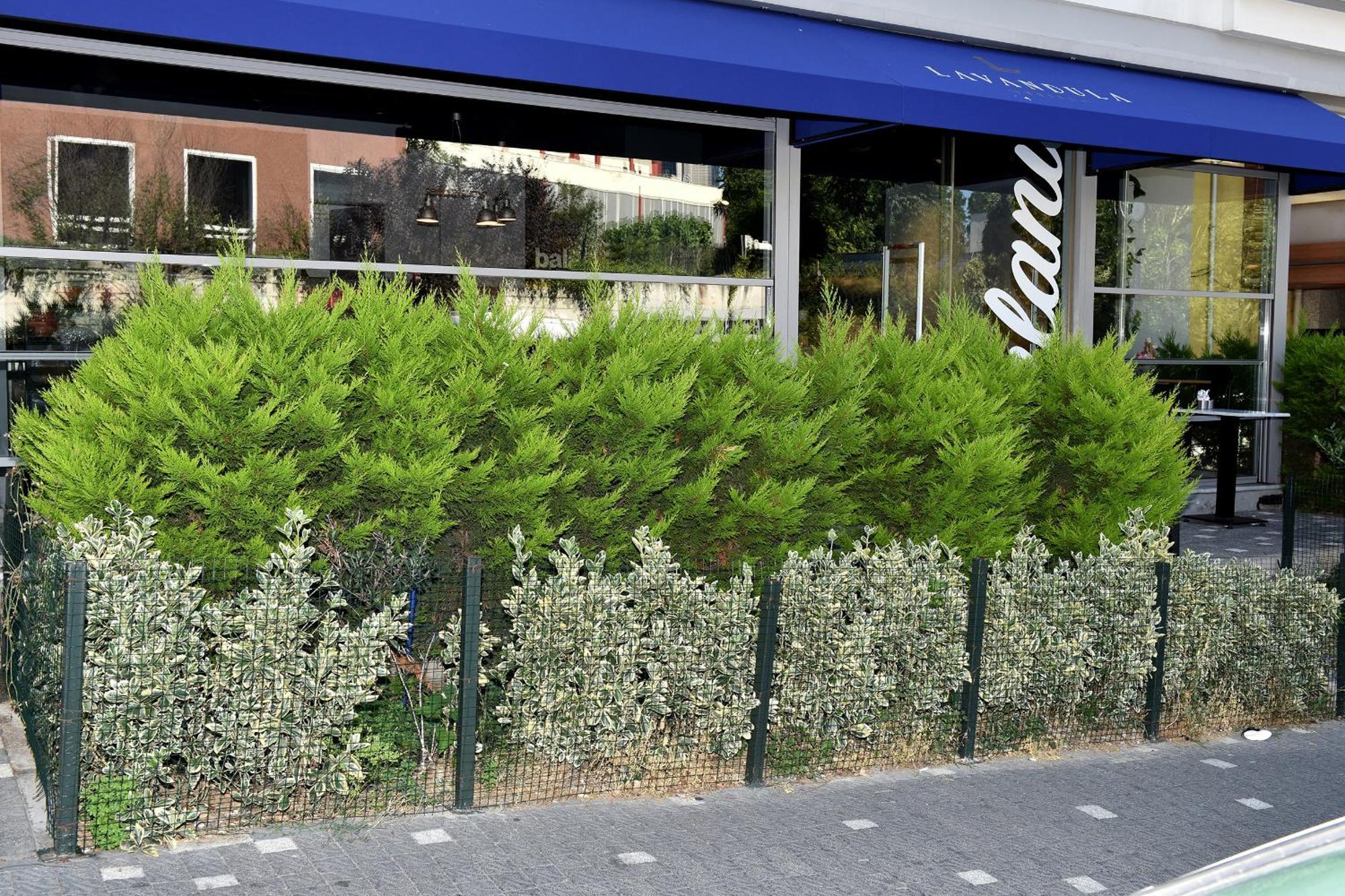 Levent Lavandula Hotel اسطنبول المظهر الخارجي الصورة